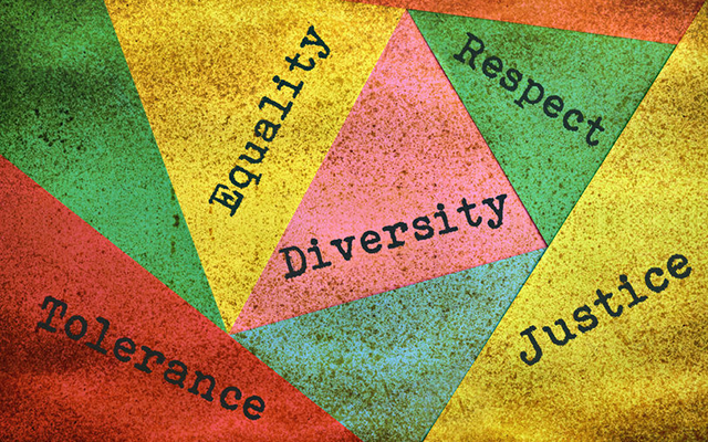 why is it important for us to see racial diversity