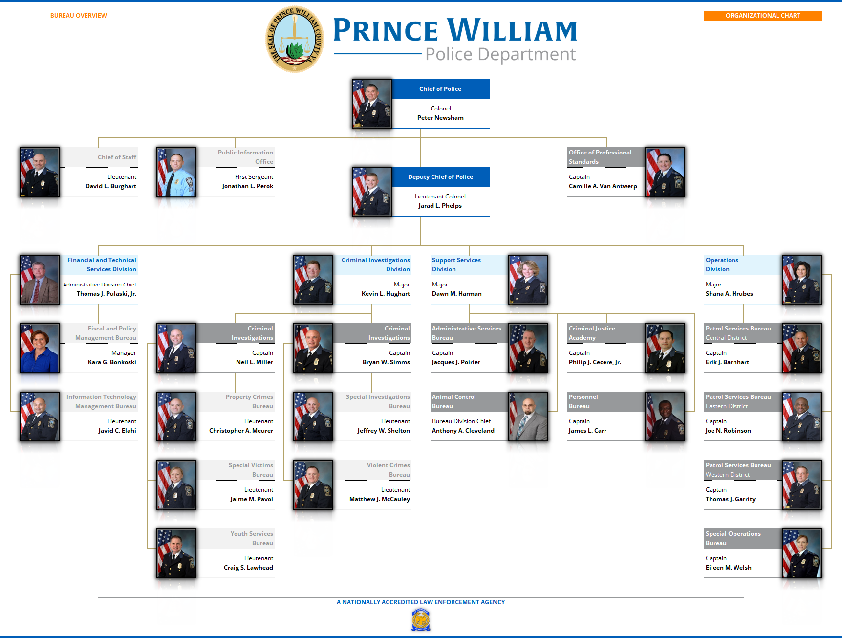 Organizational Structure