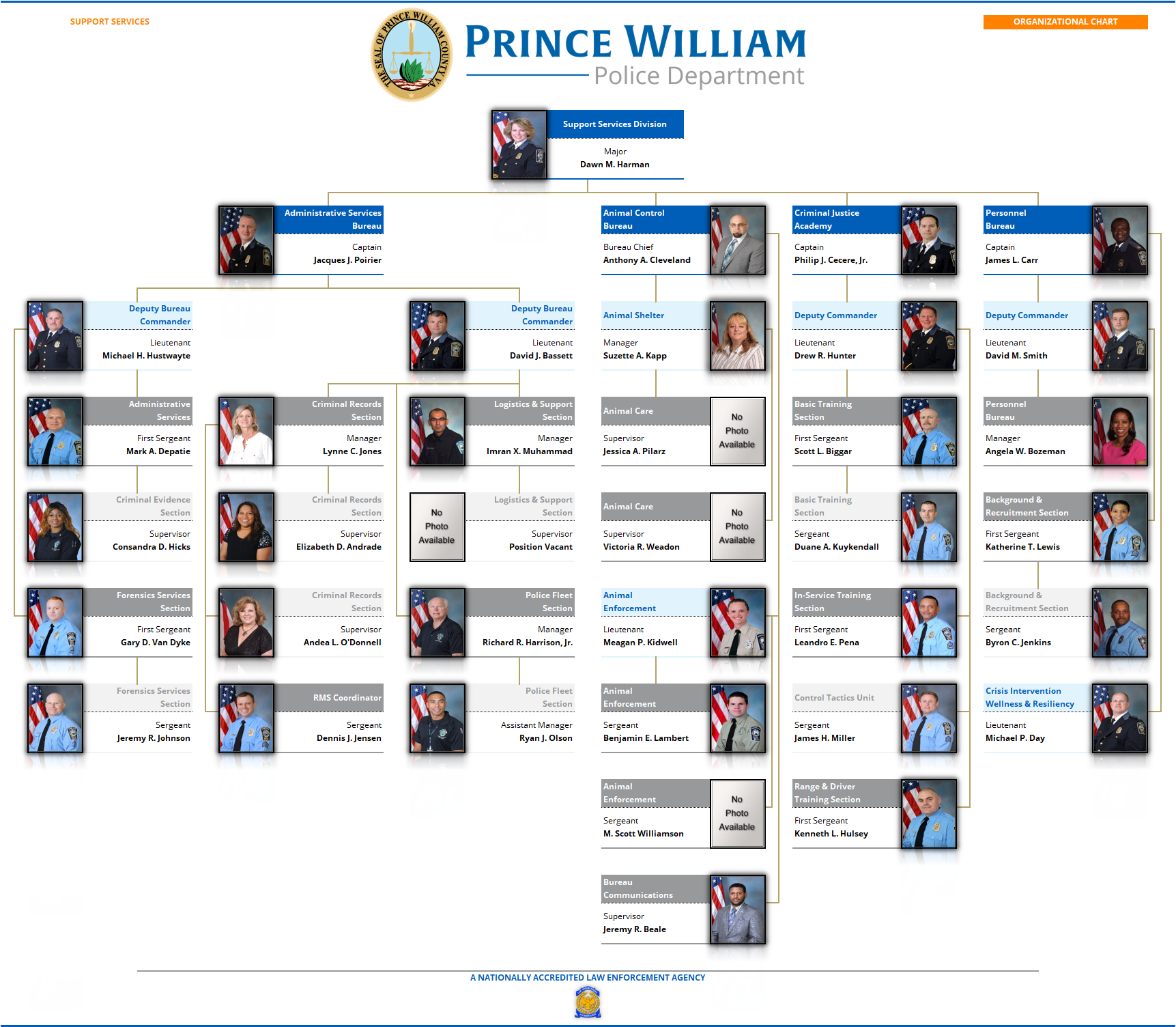 Organizational Structure