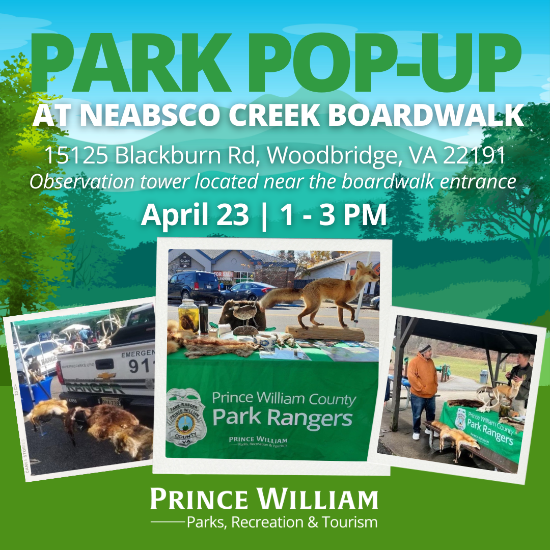 Park Pop-Up at Neabsco Creek Boardwalk