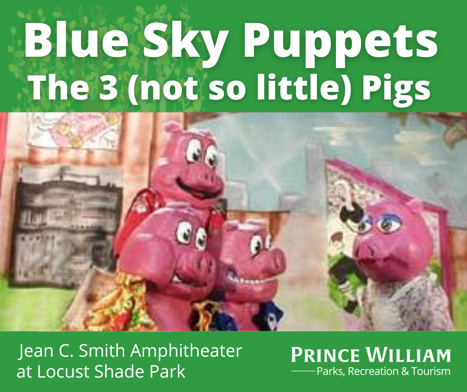 Blue Sky Puppets - The 3 Not So Little Pigs