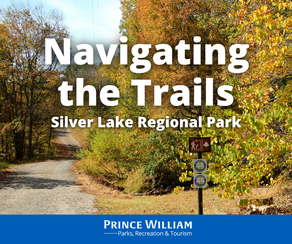 Navigating the Trails at Silver Lake Regional Park