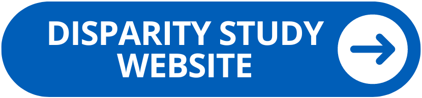 Disparity Study Website