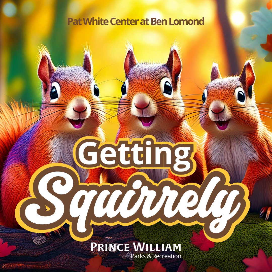 Getting Squirrely