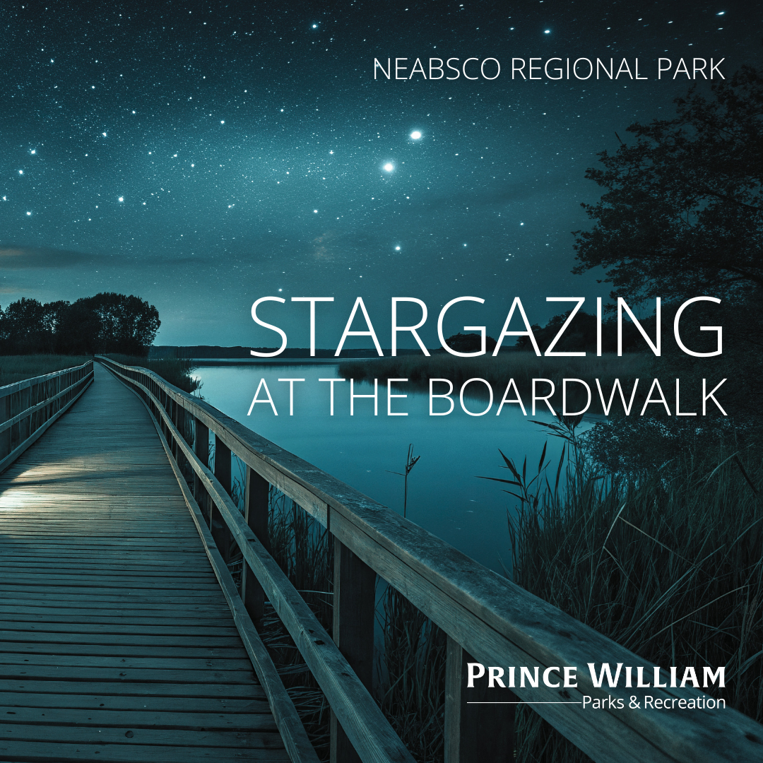 Stargazing at The Boardwalk