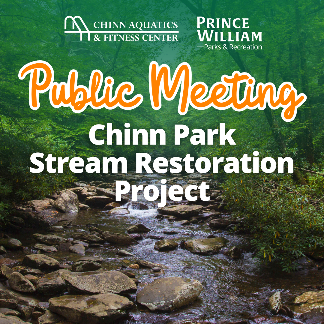 Chinn Stream Restoration