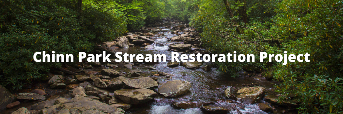 Chinn Stream Restoration